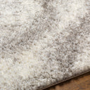 Surya Cloudy Shag CDG-2306 Off-White Area Rug by LIVABLISS