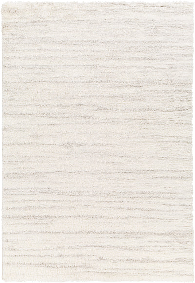 Surya Cloudy Shag CDG-2307 Off-White Area Rug by LIVABLISS