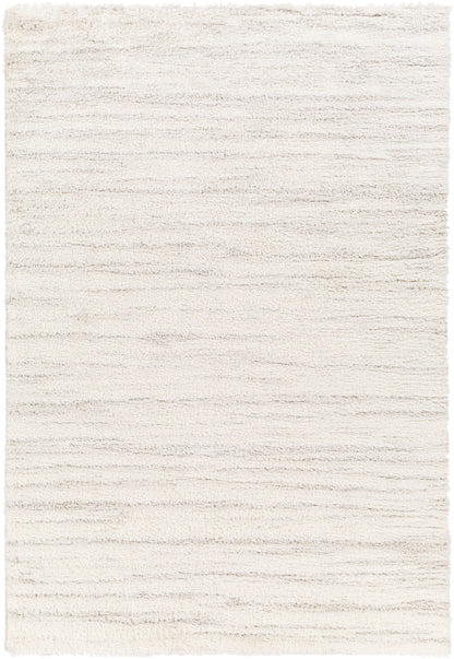 Surya Cloudy Shag CDG-2307 Off-White Area Rug by LIVABLISS