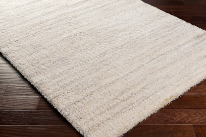 Surya Cloudy Shag CDG-2307 Off-White Area Rug by LIVABLISS