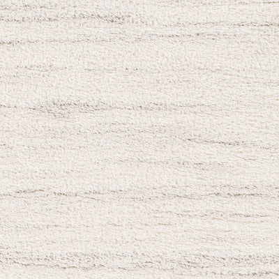 Surya Cloudy Shag CDG-2307 Off-White Area Rug by LIVABLISS