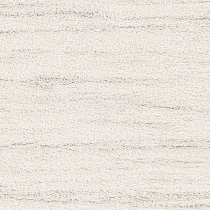 Surya Cloudy Shag CDG-2307 Off-White Area Rug by LIVABLISS