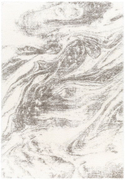 Surya Cloudy Shag CDG-2308 Off-White Area Rug by LIVABLISS