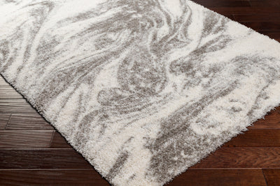 Surya Cloudy Shag CDG-2308 Off-White Area Rug by LIVABLISS