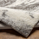 Surya Cloudy Shag CDG-2308 Off-White Area Rug by LIVABLISS