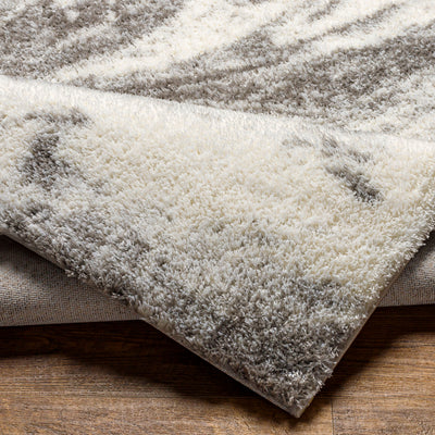 Surya Cloudy Shag CDG-2308 Off-White Area Rug by LIVABLISS