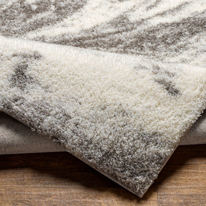 Surya Cloudy Shag CDG-2308 Off-White Area Rug by LIVABLISS