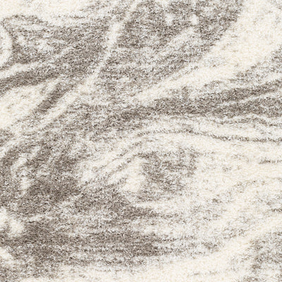 Surya Cloudy Shag CDG-2308 Off-White Area Rug by LIVABLISS