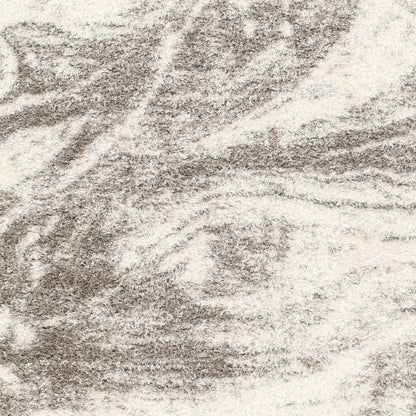 Surya Cloudy Shag CDG-2308 Off-White Area Rug by LIVABLISS