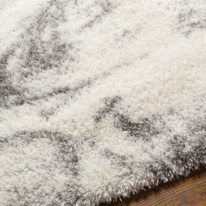 Surya Cloudy Shag CDG-2308 Off-White Area Rug by LIVABLISS