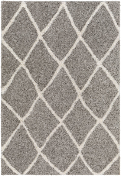 Surya Cloudy Shag CDG-2313 Charcoal Area Rug by LIVABLISS