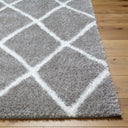 Surya Cloudy Shag CDG-2313 Charcoal Area Rug by LIVABLISS