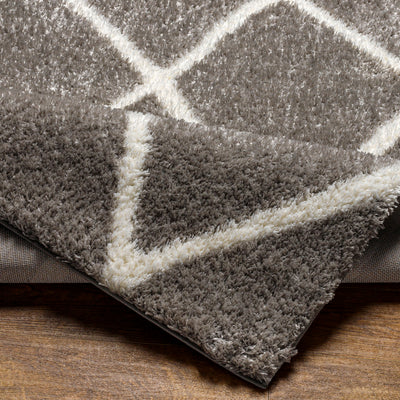 Surya Cloudy Shag CDG-2313 Charcoal Area Rug by LIVABLISS