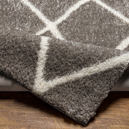 Surya Cloudy Shag CDG-2313 Charcoal Area Rug by LIVABLISS