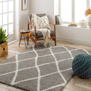 Surya Cloudy Shag CDG-2313 Charcoal Area Rug by LIVABLISS