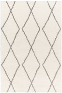 Surya Cloudy Shag CDG-2317 Off-White Area Rug by LIVABLISS