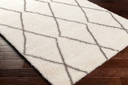Surya Cloudy Shag CDG-2317 Off-White Area Rug by LIVABLISS