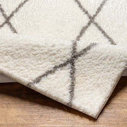 Surya Cloudy Shag CDG-2317 Off-White Area Rug by LIVABLISS