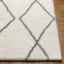 Surya Cloudy Shag CDG-2317 Off-White Area Rug by LIVABLISS