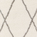 Surya Cloudy Shag CDG-2317 Off-White Area Rug by LIVABLISS