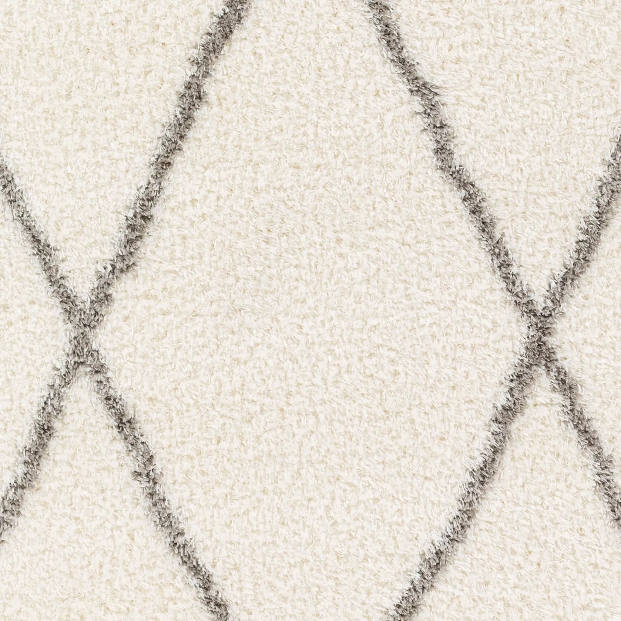 Cloudy Shag CDG-2317 Off-White Area Rug by LIVABLISS