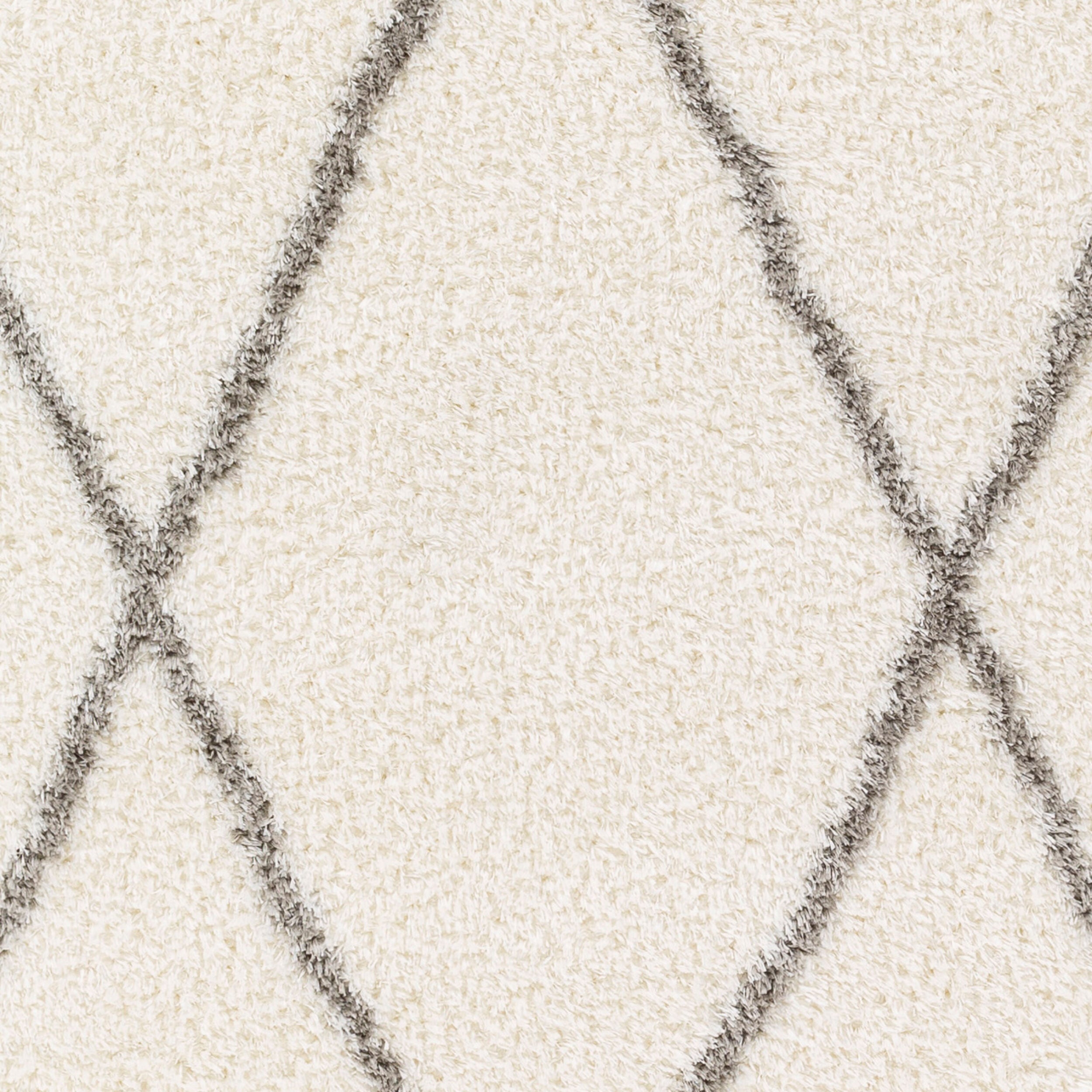 Surya Cloudy Shag CDG-2317 Off-White Area Rug by LIVABLISS
