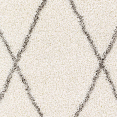 Surya Cloudy Shag CDG-2317 Off-White Area Rug by LIVABLISS