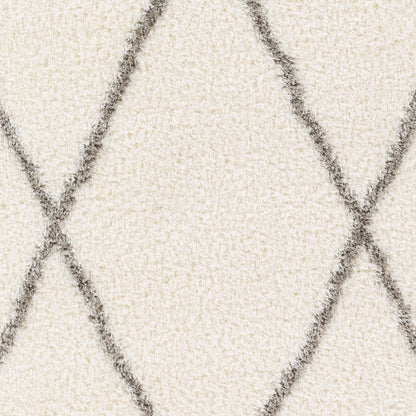 Surya Cloudy Shag CDG-2317 Off-White Area Rug by LIVABLISS