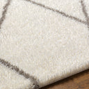 Surya Cloudy Shag CDG-2317 Off-White Area Rug by LIVABLISS