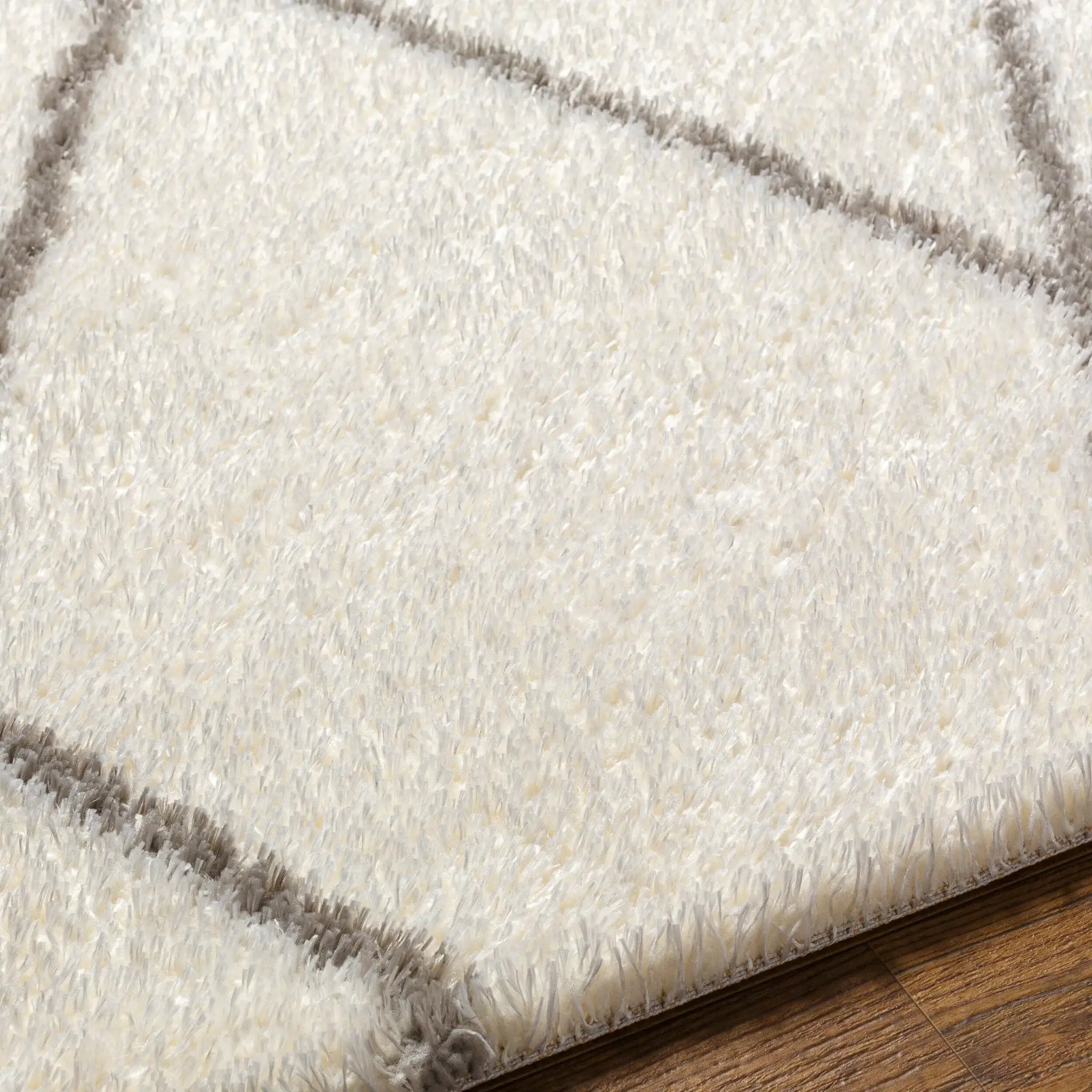 Cloudy Shag CDG-2317 Off-White Area Rug by LIVABLISS