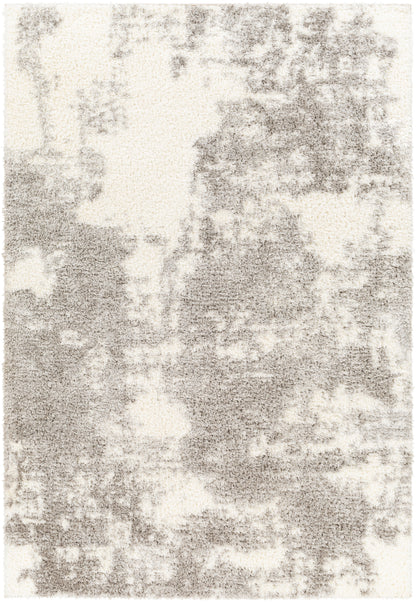 Surya Cloudy Shag CDG-2318 Off-White Area Rug by LIVABLISS
