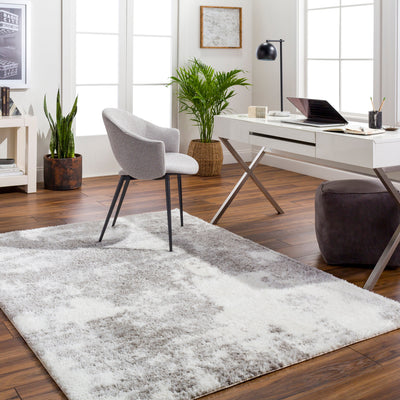 Surya Cloudy Shag CDG-2318 Off-White Area Rug by LIVABLISS