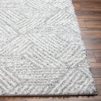 LIVABLISS Cloudy Shag CDG-2320 Off-White Area Rug