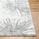 Surya Cloudy Shag CDG-2327 Off-White Area Rug by LIVABLISS