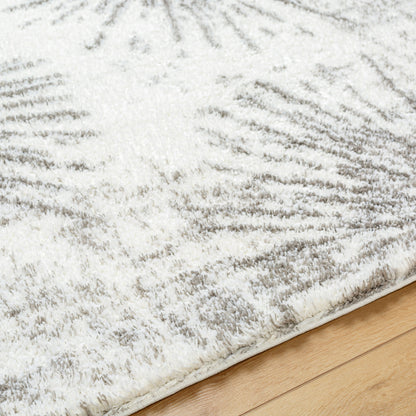 Surya Cloudy Shag CDG-2327 Off-White Area Rug by LIVABLISS