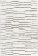 Surya Cloudy Shag CDG-2328 Off-White Area Rug by LIVABLISS