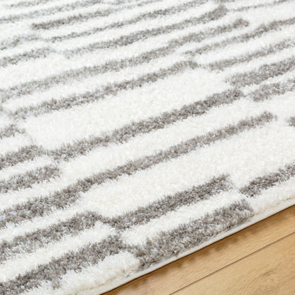 Surya Cloudy Shag CDG-2328 Off-White Area Rug by LIVABLISS