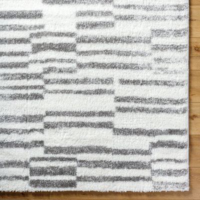 Surya Cloudy Shag CDG-2328 Off-White Area Rug by LIVABLISS