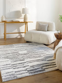 Surya Cloudy Shag CDG-2328 Off-White Area Rug by LIVABLISS