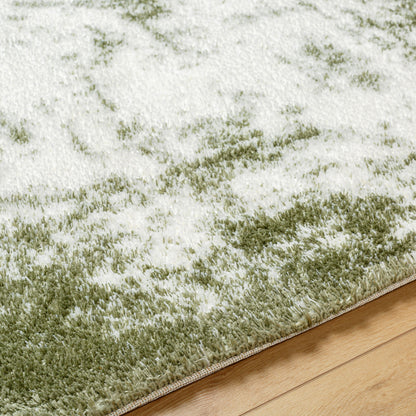 Surya Cloudy Shag CDG-2329 Off-White Area Rug by LIVABLISS