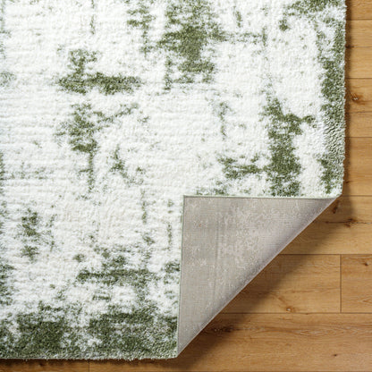 Surya Cloudy Shag CDG-2329 Off-White Area Rug by LIVABLISS