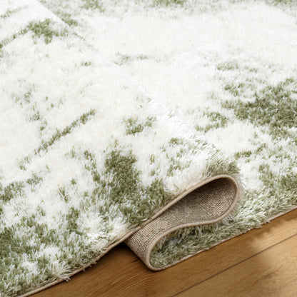 Surya Cloudy Shag CDG-2329 Off-White Area Rug by LIVABLISS