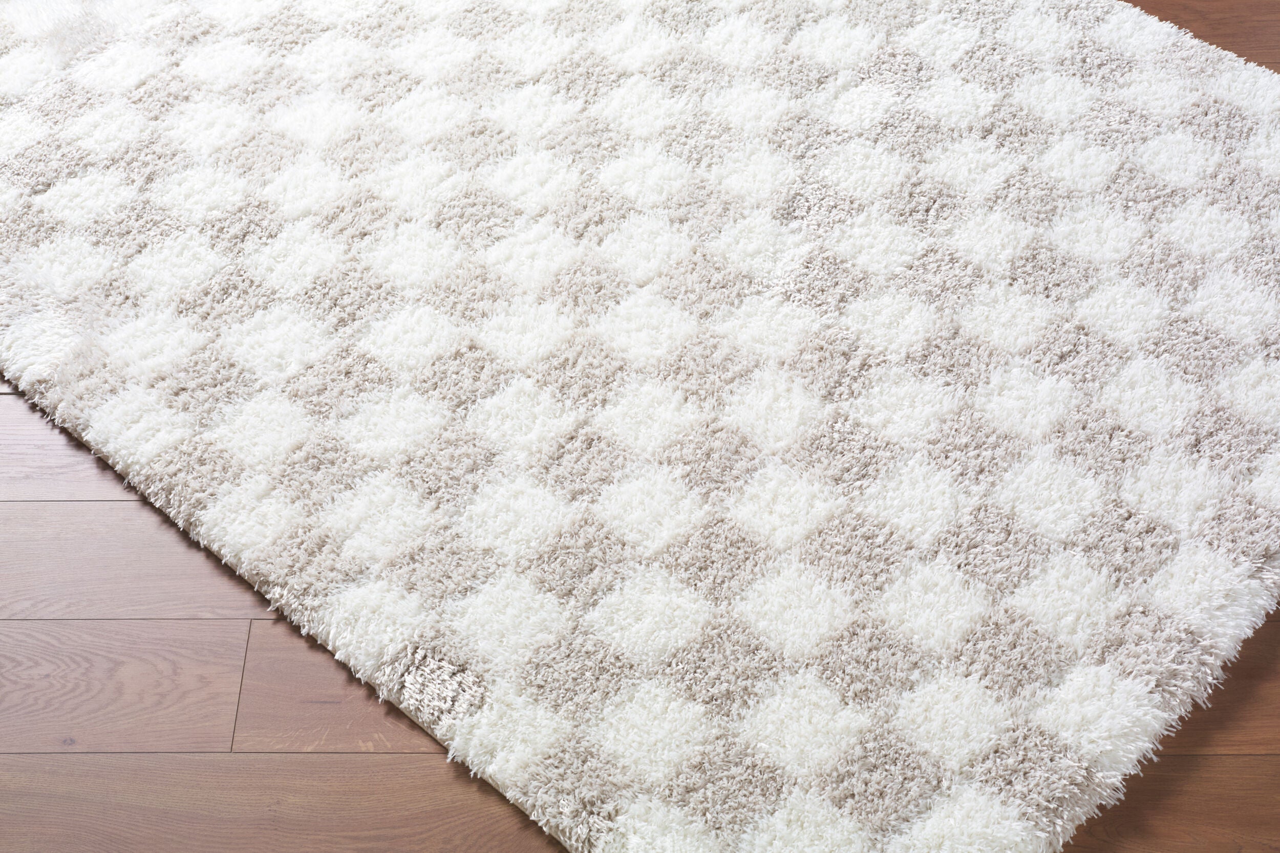 Surya Cloudy Shag CDG-2330 Ivory Area Rug by LIVABLISS