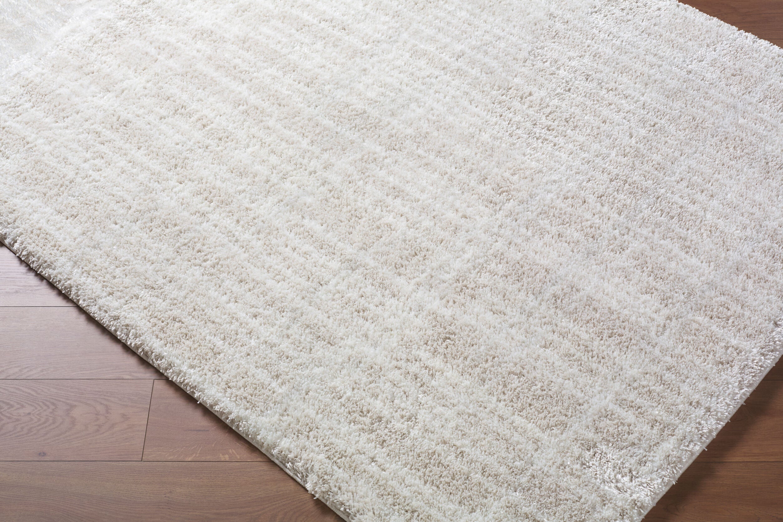 Surya Cloudy Shag CDG-2331 Ivory Area Rug by LIVABLISS