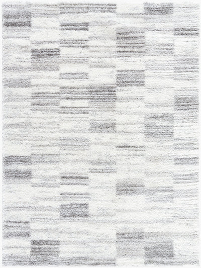 Surya Cloudy Shag CDG-2337 Light Beige Area Rug by LIVABLISS