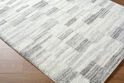 Surya Cloudy Shag CDG-2337 Light Beige Area Rug by LIVABLISS
