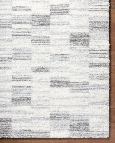 Surya Cloudy Shag CDG-2337 Light Beige Area Rug by LIVABLISS