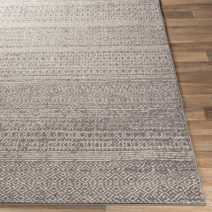 Surya Chester CHE-2304 Brown Area Rug by LIVABLISS