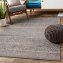 Surya Chester CHE-2304 Brown Area Rug by LIVABLISS