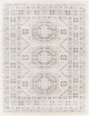 LIVABLISS Chester CHE-2309 Area Rug